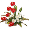 Cute Charmers - Click here to View more details about this Product